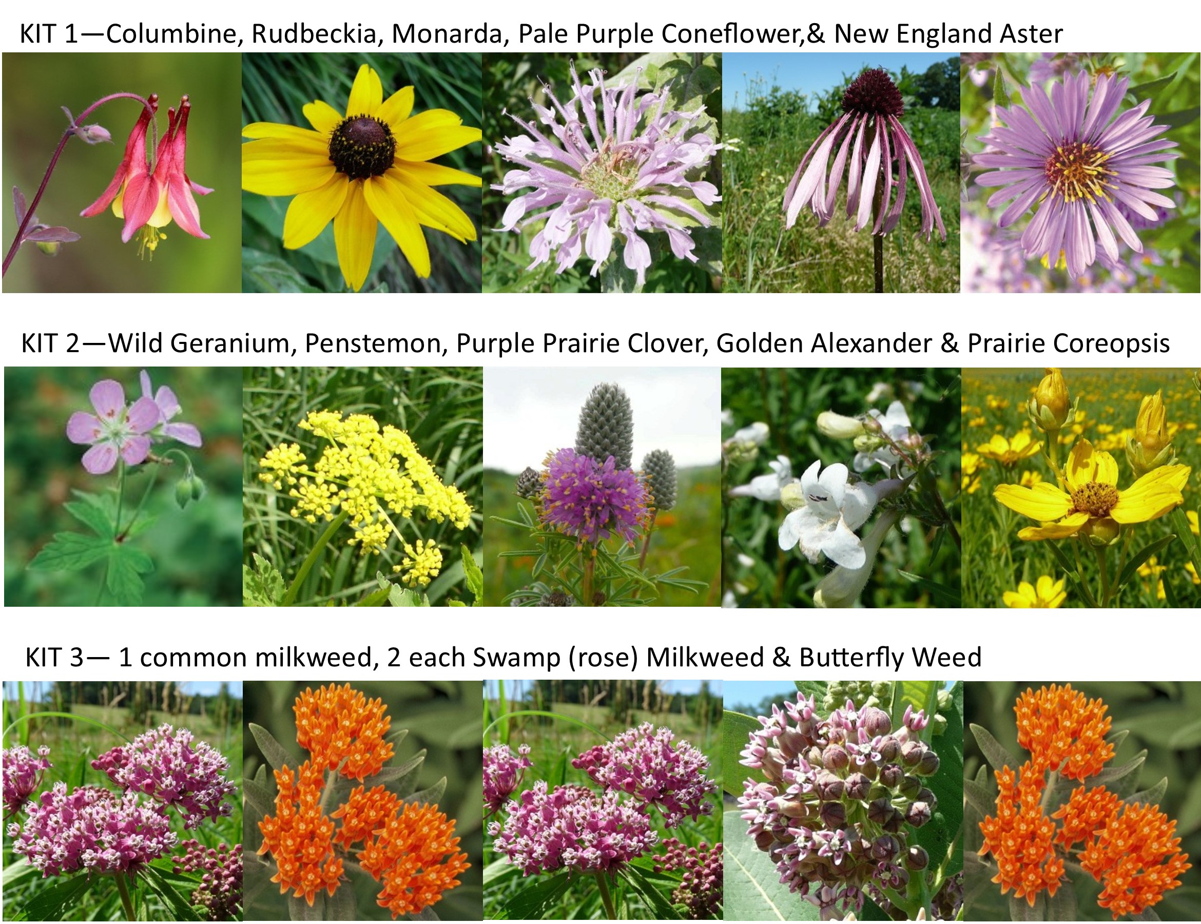 Purchase Native Plant Kits